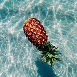 Meet your Posher, Hayden